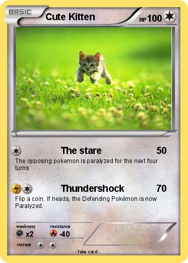 Pokemon Cute Kitten