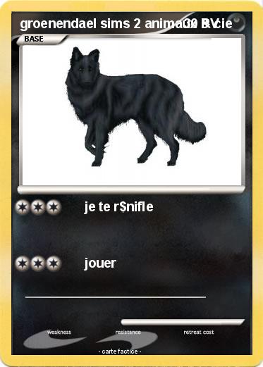 Pokemon groenendael sims 2 animaux & cie