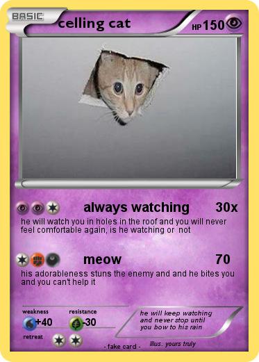 Pokemon celling cat
