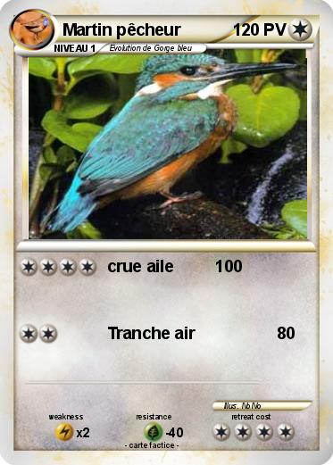 Pokemon Martin pêcheur