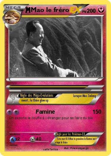 Pokemon Mao le fréro