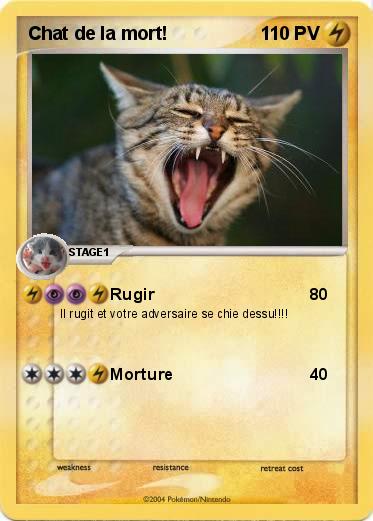Pokemon Chat de la mort!
