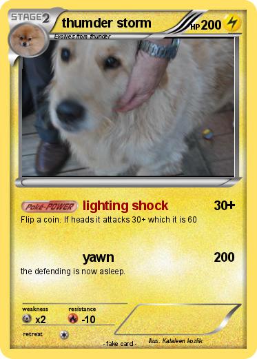 Pokemon thumder storm