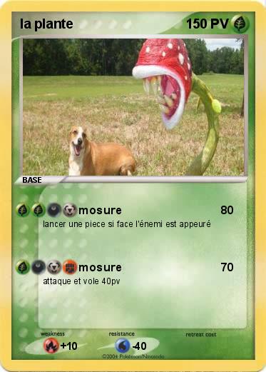 Pokemon la plante           