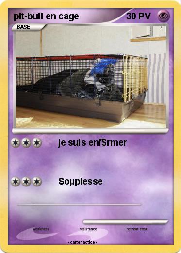 Pokemon pit-bull en cage
