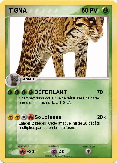 Pokemon TIGNA