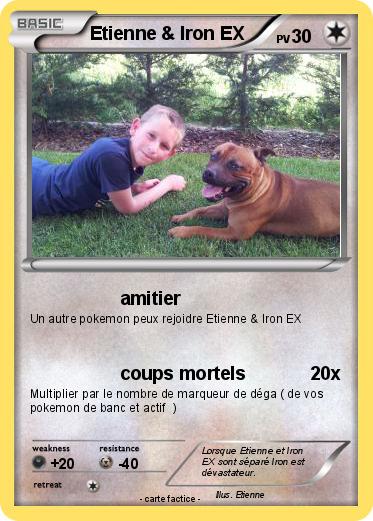 Pokemon Etienne & Iron EX