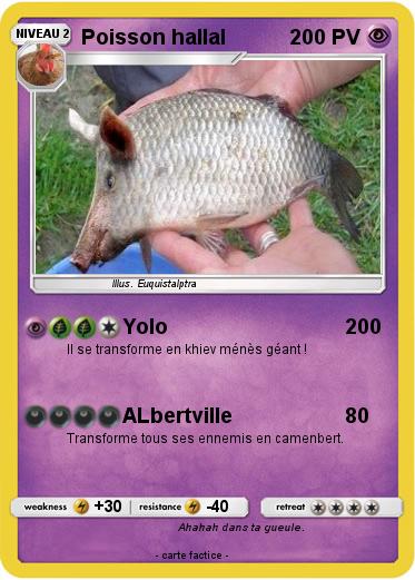Pokemon Poisson hallal