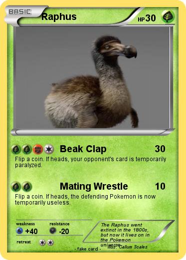 Pokemon Raphus