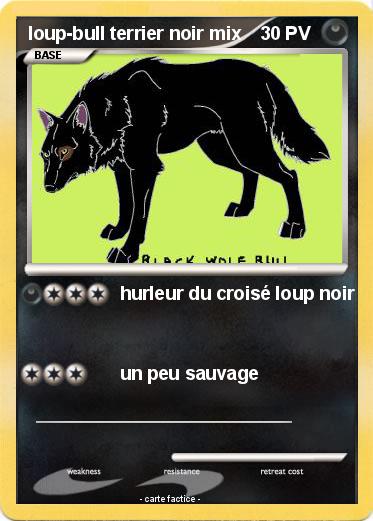 Pokemon loup-bull terrier noir mix