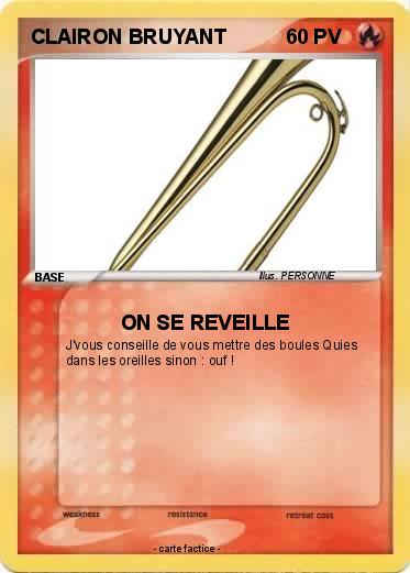 Pokemon CLAIRON BRUYANT