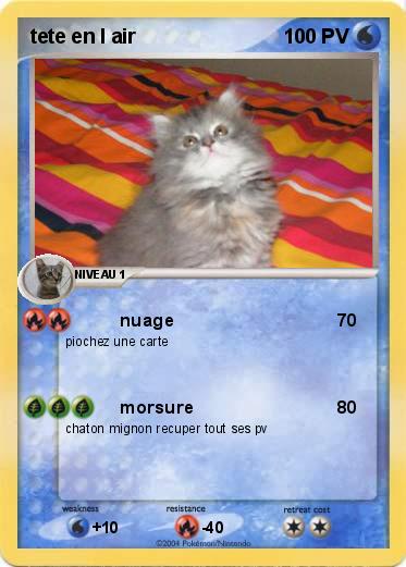 Pokemon tete en l air