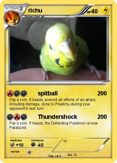 Pokemon richu