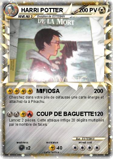 Pokemon HARRI POTTER