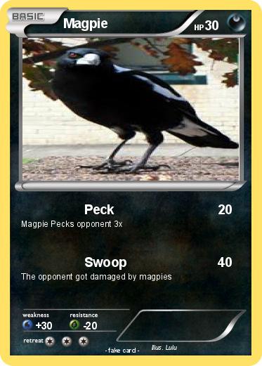 Pokemon Magpie