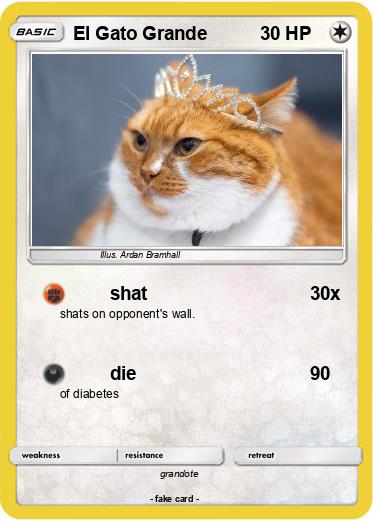 Pokemon El Gato Grande