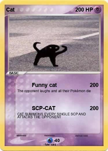 Pokemon Cat