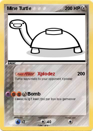 Pokemon Mine Turtle