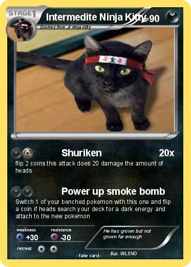 Pokemon Intermedite Ninja Kitty