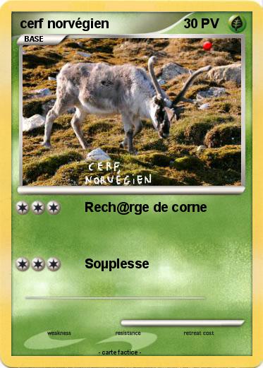 Pokemon cerf norvégien