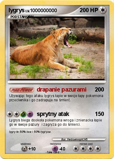 Pokemon lygrys