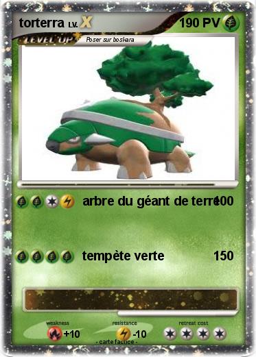 Pokemon torterra