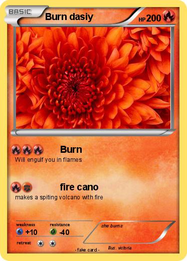 Pokemon Burn dasiy