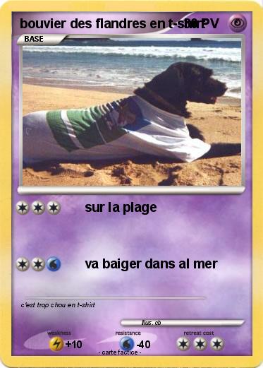 Pokemon bouvier des flandres en t-shirt