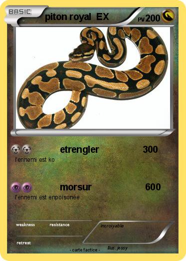 Pokemon piton royal  EX