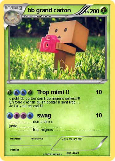Pokemon bb grand carton
