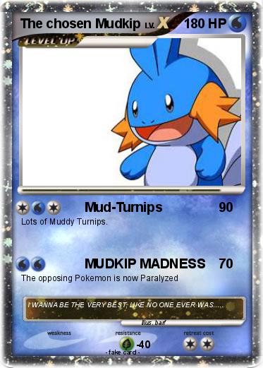 Pokemon The chosen Mudkip