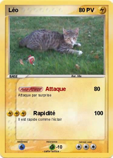 Pokemon Léo