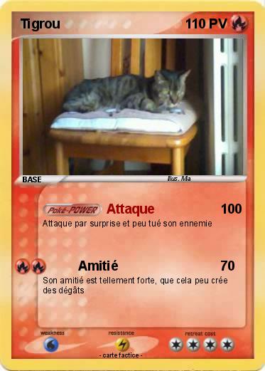 Pokemon Tigrou