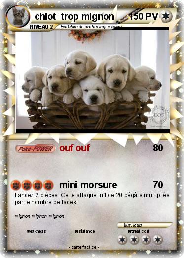 Pokemon chiot  trop mignon