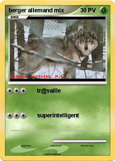 Pokemon berger allemand mix