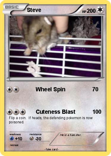 Pokemon Steve