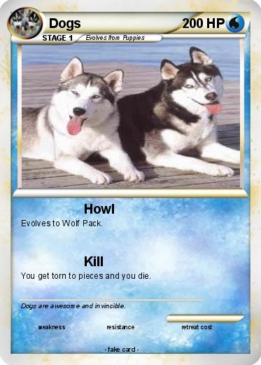 Pokemon Dogs