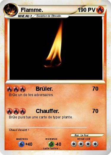 Pokemon Flamme.