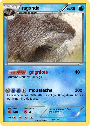 Pokemon ragonde