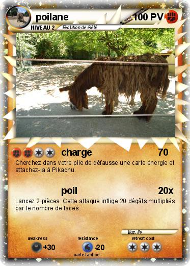 Pokemon poilane
