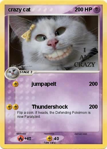 Pokemon crazy cat