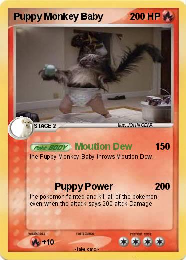 Pokemon Puppy Monkey Baby