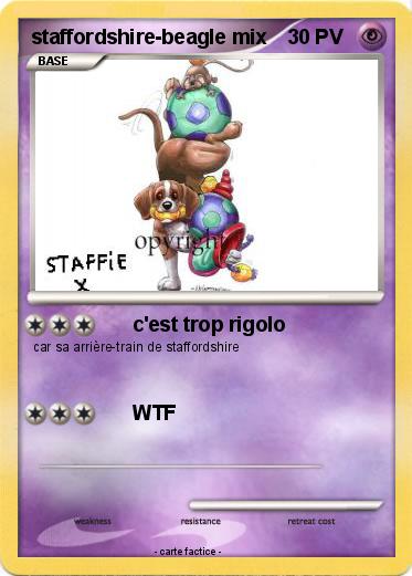 Pokemon staffordshire-beagle mix