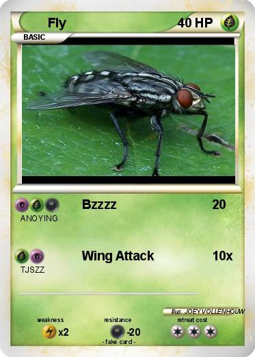Pokemon Fly