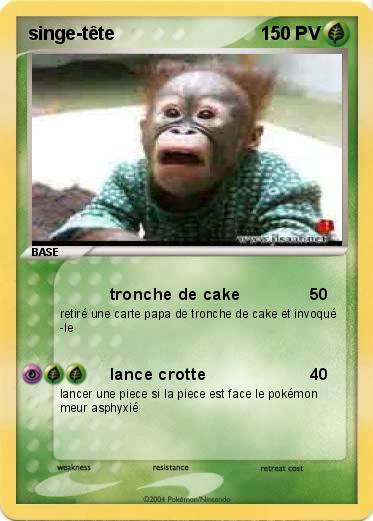 Pokemon singe-tête