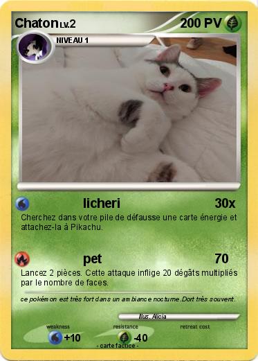 Pokemon Chaton