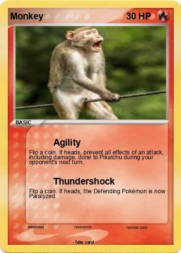 Pokemon Monkey