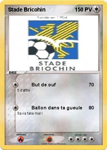 Pokemon Stade Bricohin