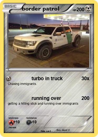 Pokemon border patrol