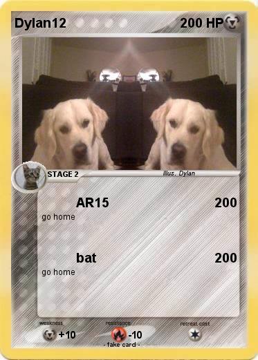 Pokemon Dylan12